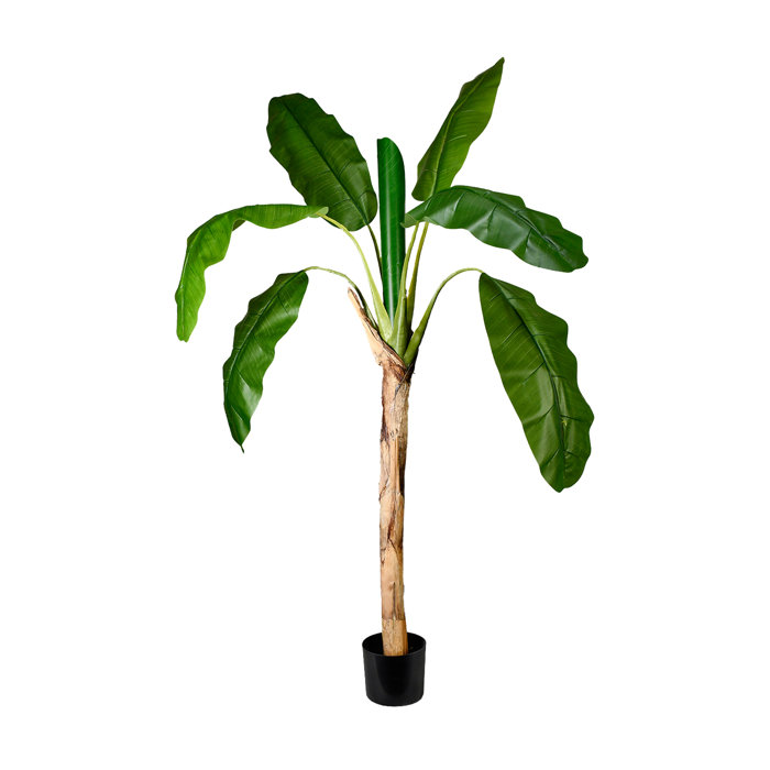 Primrue 71'' Faux Banana Leaf Tree in Pot Wayfair